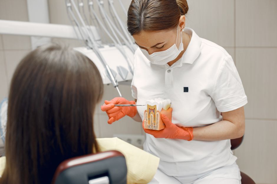 A dental professional in a white top and orange gloves holding a cross-section model of a tooth while a patient in the foreground looks on